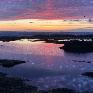 Meet your Posher, Phoenix